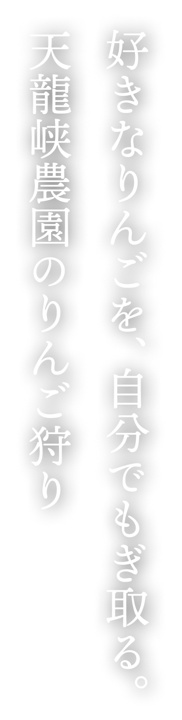 好きなりんごを、自分でもぎ取る。天龍峡農園のりんご狩り
