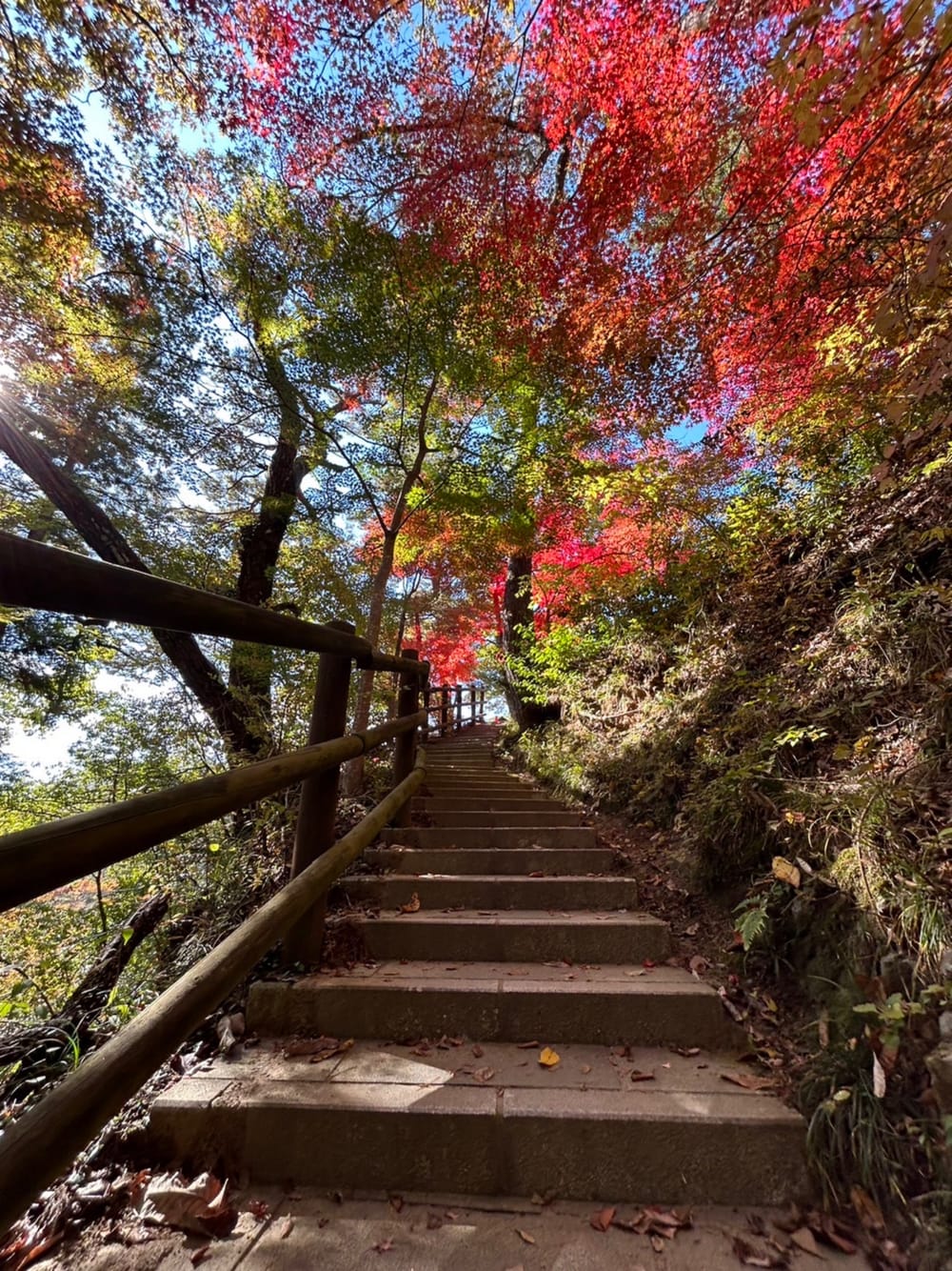 天龍峡の紅葉のトンネル